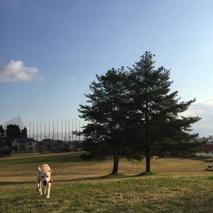 C13aa753 c823 4712 8458 af5ee5e65c9e