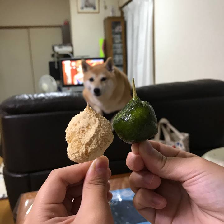 C13ab035 5cc9 453d 93b3 fc5ef34f5a57