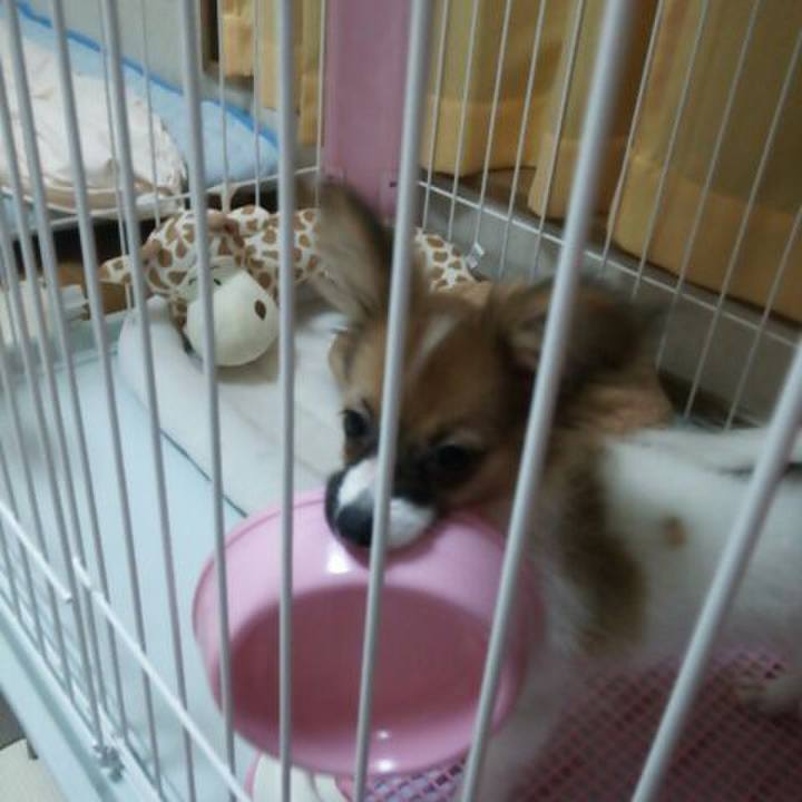 C13b573b 6a9f 47bc b7c7 089eea5d103c