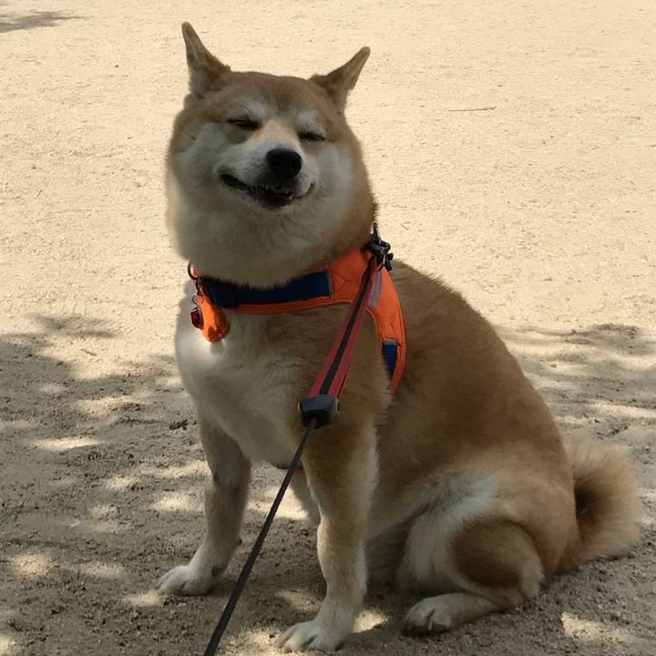 C13b5bc9 8b38 4cf9 8a6e f67c6b2e65f0