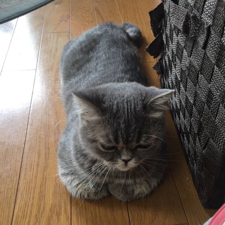 C13b6739 323b 4ea3 a646 723cfcd60bfd