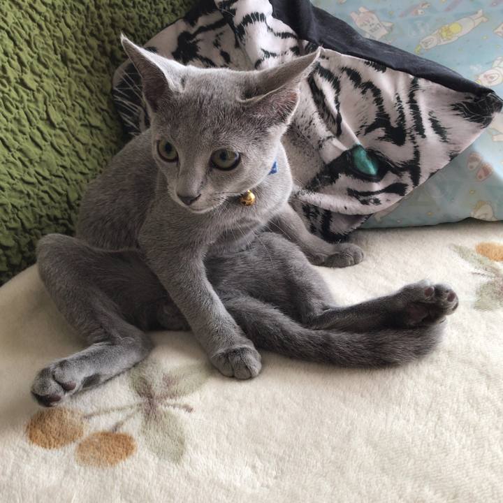 C13b9a17 dd0e 493a 9227 acc6fb093783