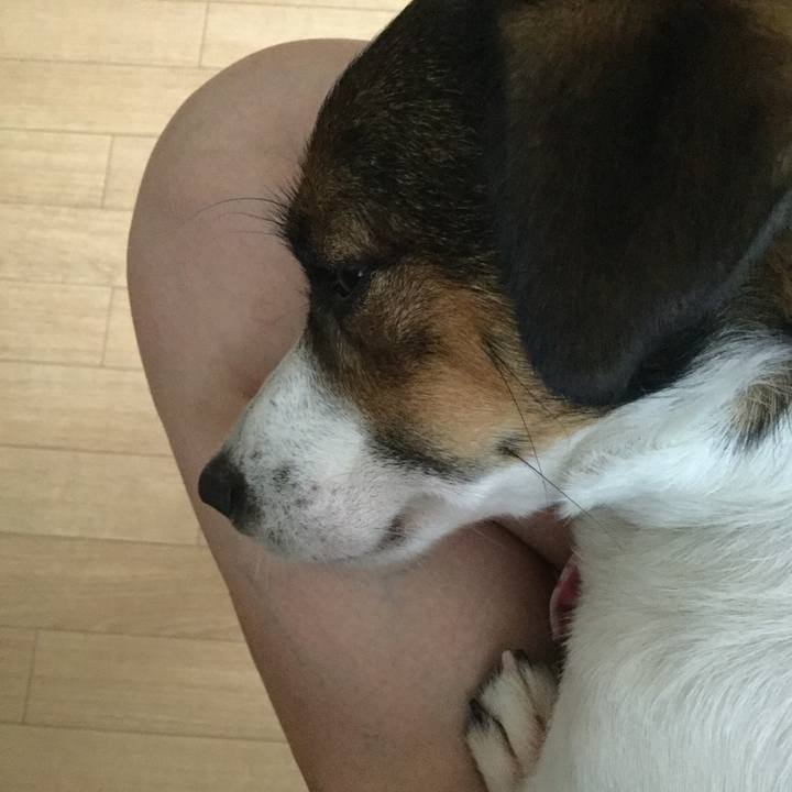 C13bf67e ed32 49ec 8a06 d30a2f379437