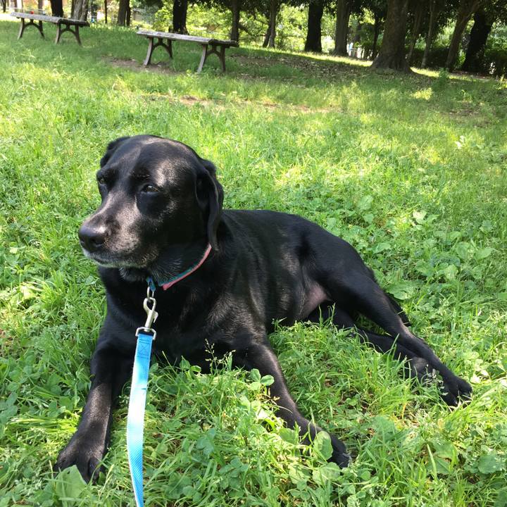 C13c53a8 d9c5 475a a6fe 6a9411a76fc2