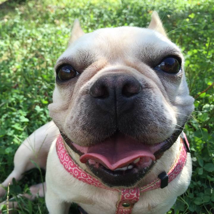 C13c9dff 4f55 4a79 92c7 fb4c1b138fb7