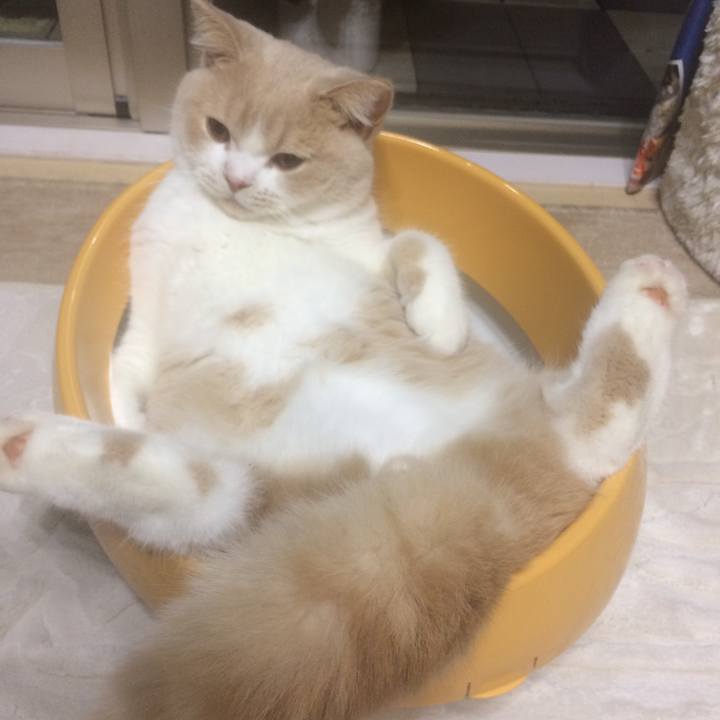 C13ce87f 43f2 483e 9838 3aa6604103a9