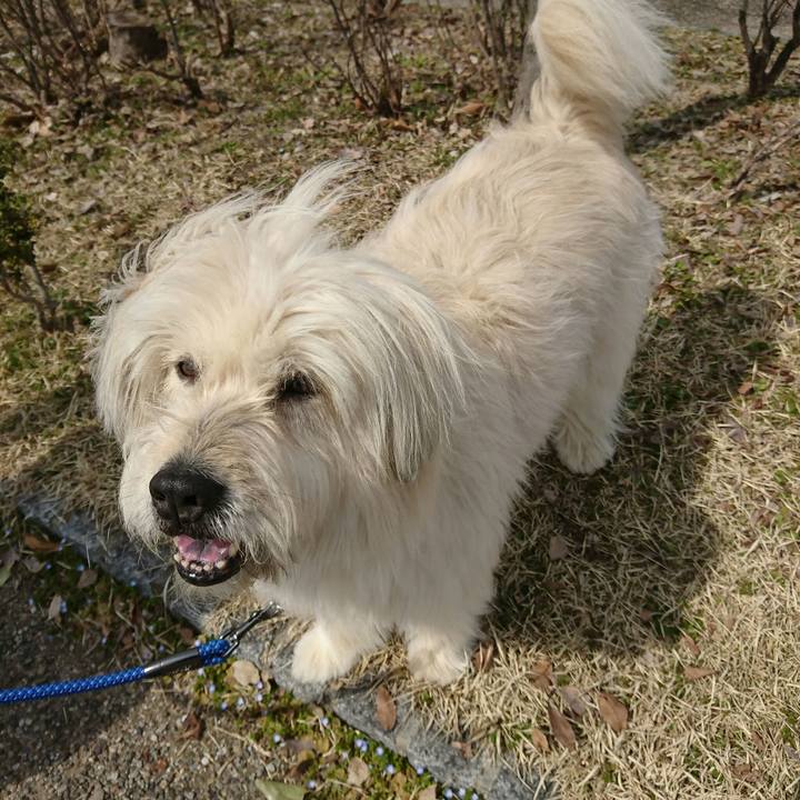 C13e37d0 04c6 47f0 9ccf 79044c8deb4c