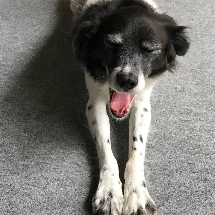 C13e4bc9 b017 4bab 91cf 0d95444632d5