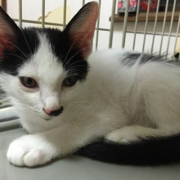 C13e81ad ba11 47d1 ad02 83b81aa101db