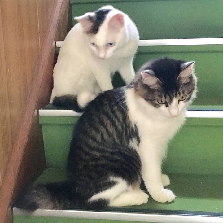 C13ee620 4247 488e 9d7c 7262ea84f9e4