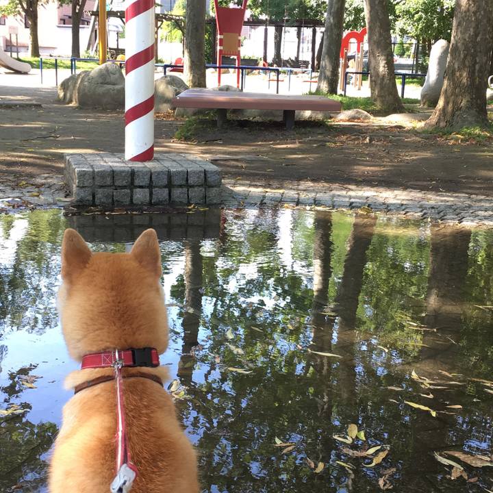 C13f6195 45fb 403d b5a0 c33fe98cde5e