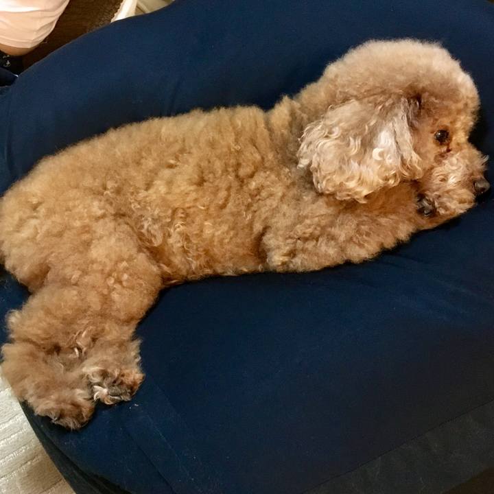 C13f63ae fd42 4ea5 a33a 89066c0960e7