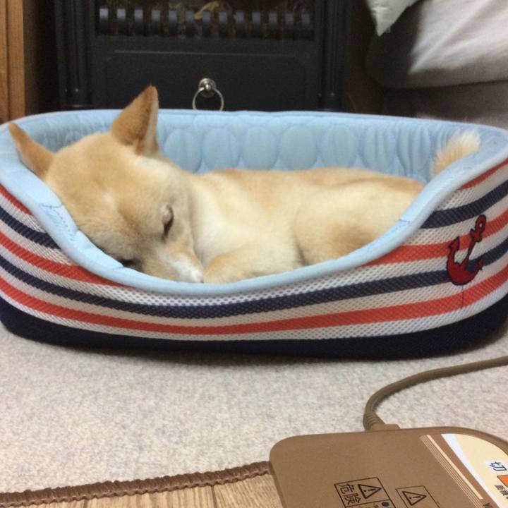 C13f8dbb f9b7 4b3d ab8e b703b98ba6aa