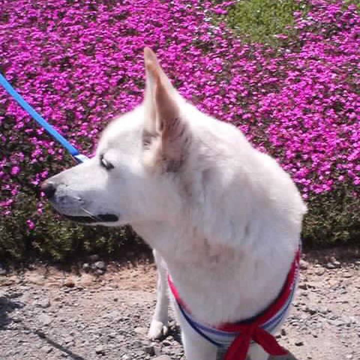 C1401124 affc 4332 9164 3151f716d37c