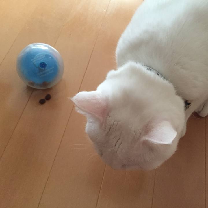 C140558b 20f3 4fcb bcb7 bfee4fb36cb1