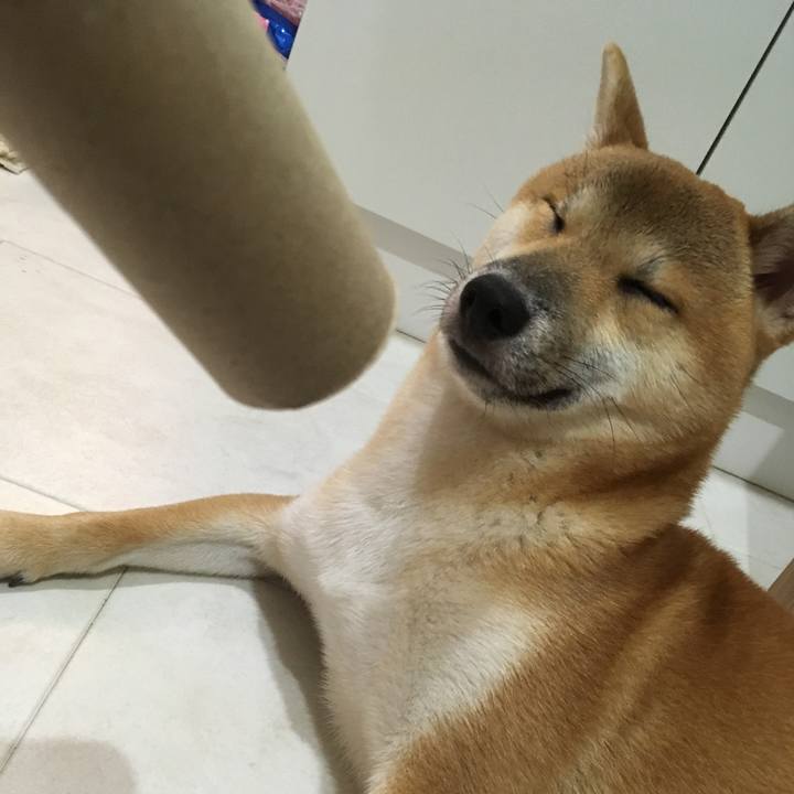 C140a39b 39be 4c71 aee7 32ddcb5c1a69