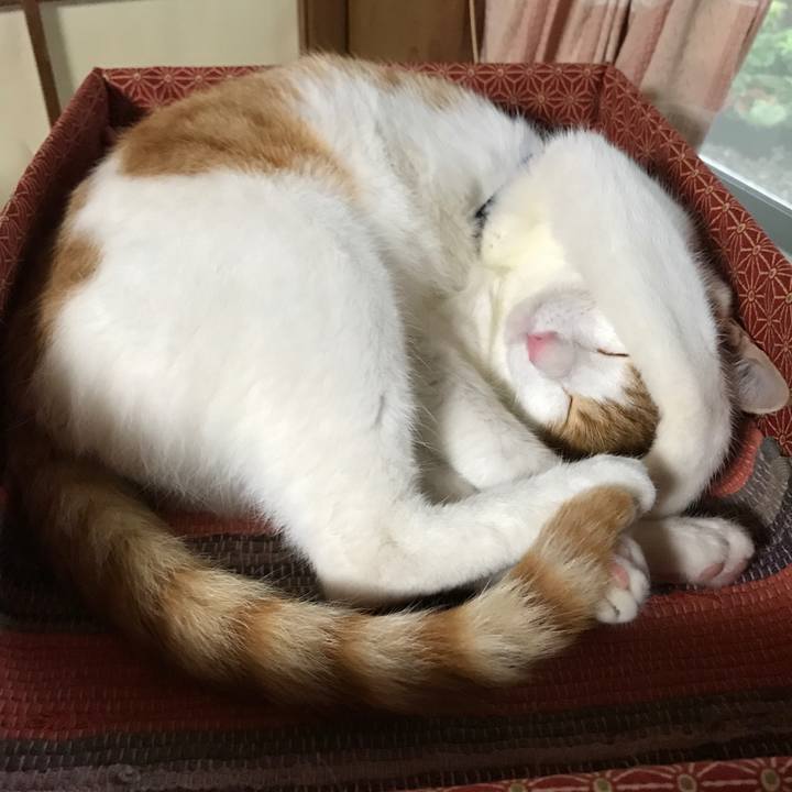 C140b963 0e75 451f 98f4 d4ba38725961