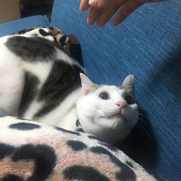 C14148e4 f2c6 434e aa06 657d05364945