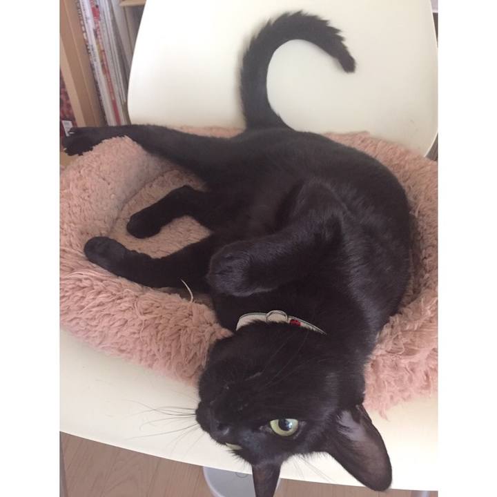 C1415584 cc74 4e9a 831f 78e9b9df40dc