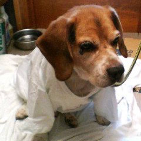 C141d104 4bf1 4790 8cc3 7fe2433ce943