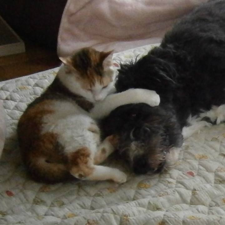 C142f959 7a42 4fa5 a01b 2445b3d537ea