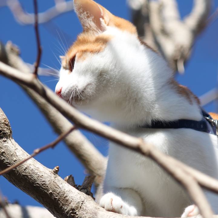 C14331d3 3677 42ed a6e4 39be80c45368