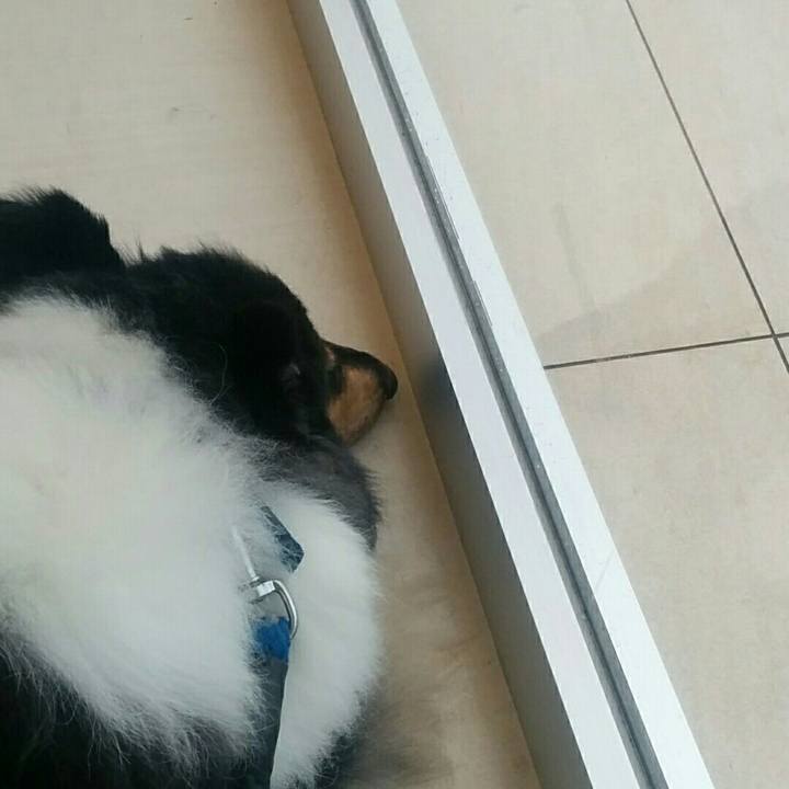 C1441032 cf80 4036 a2d1 30f8365da108