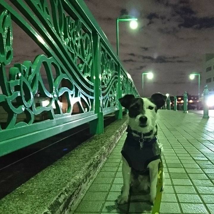 C144197f c406 4869 9f50 30000e1f149c