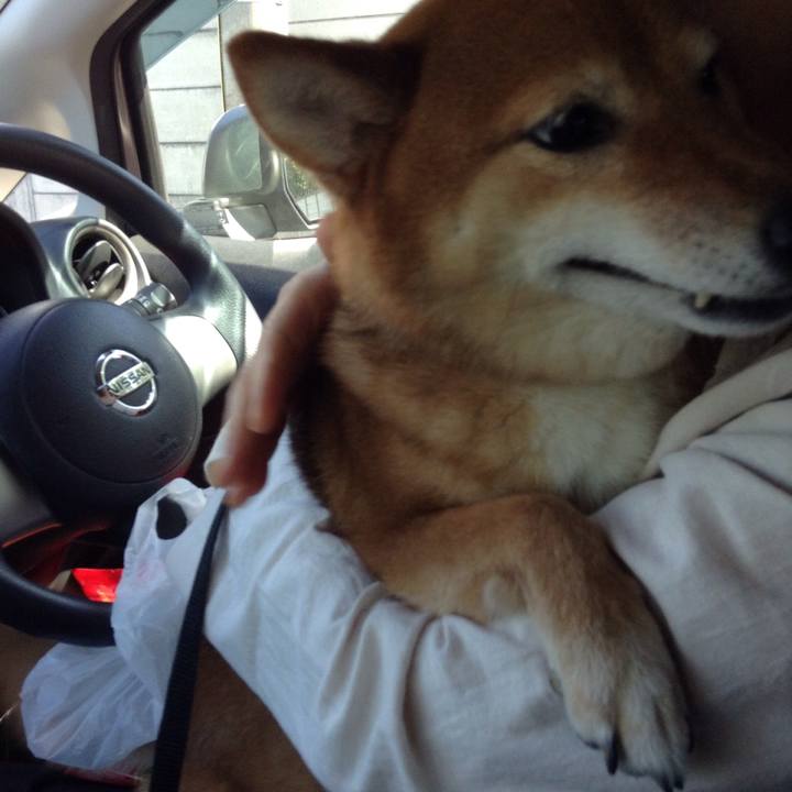 C14428b3 eec5 4692 ad9a 3067f836d12b