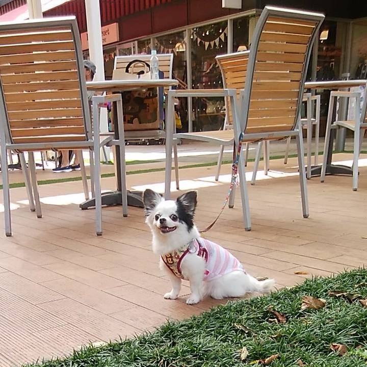 C144d89a 225b 4e89 bd63 2b22034800fa