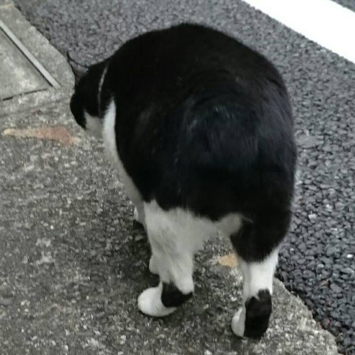 C1451228 7ecf 4d2a 9b73 e933898e5681