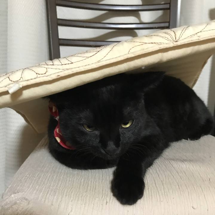 C14576c1 8ba8 42e4 bee2 ebe0f9607dc6