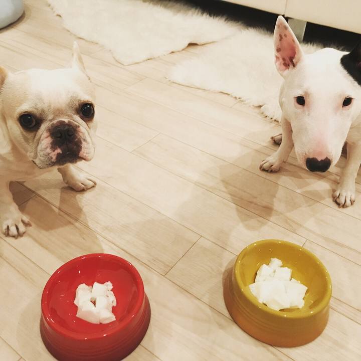 C14579ee 2d59 410f 8801 fb62afd51efa