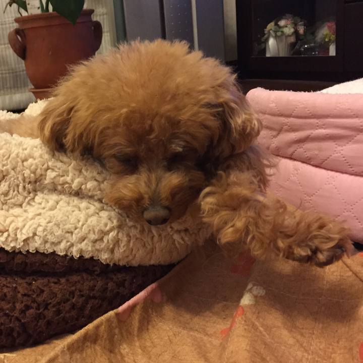 C1458821 f41f 4f7d 97db 7c41f81e61a4