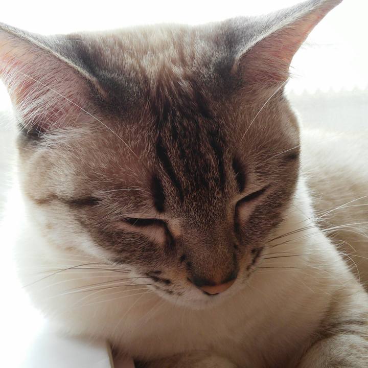 C145ad79 15b6 4890 b8f3 66b3b00d4713