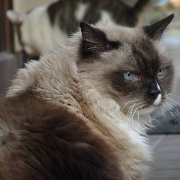 C145b631 d03c 40c7 b9fd 200a1e093157