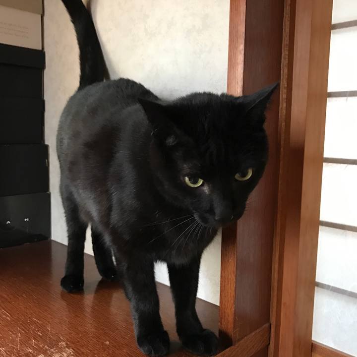 C1464ce5 3211 4a30 b07d f2aadf6ce4fa