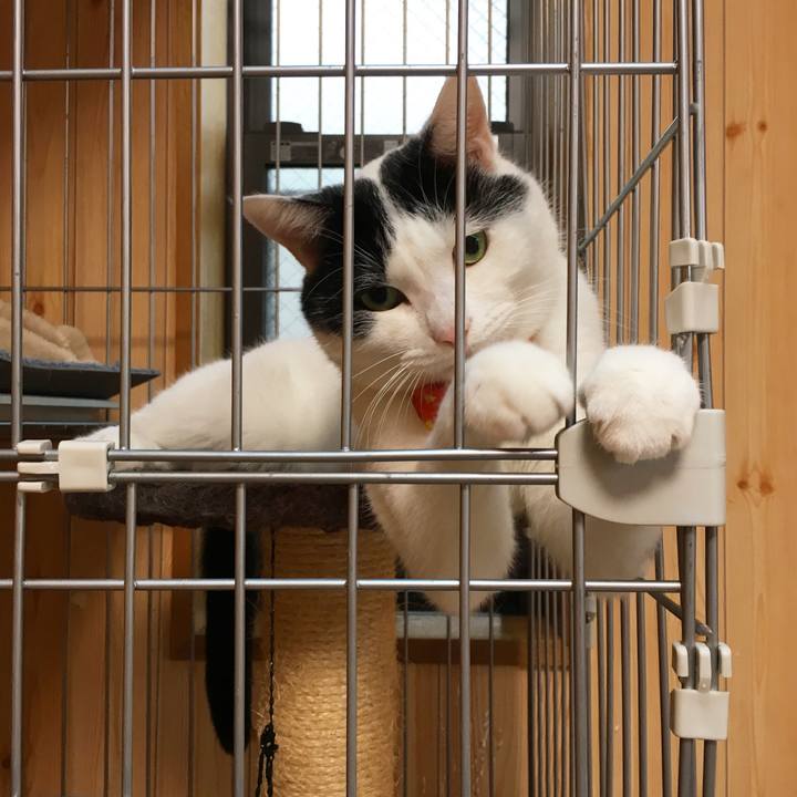 C14662a1 4fc7 4377 83e4 10d97e8594f8