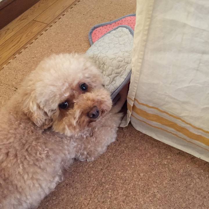 C1469f2e 7f5d 4908 9031 7b8d8090c5b3