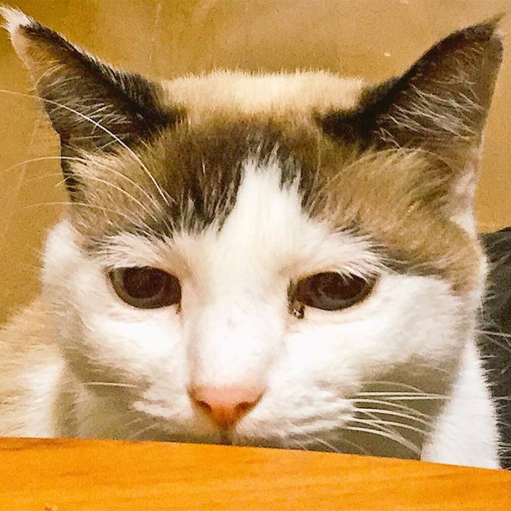 C146c13d e1e8 4122 aa6e 079acb67460a