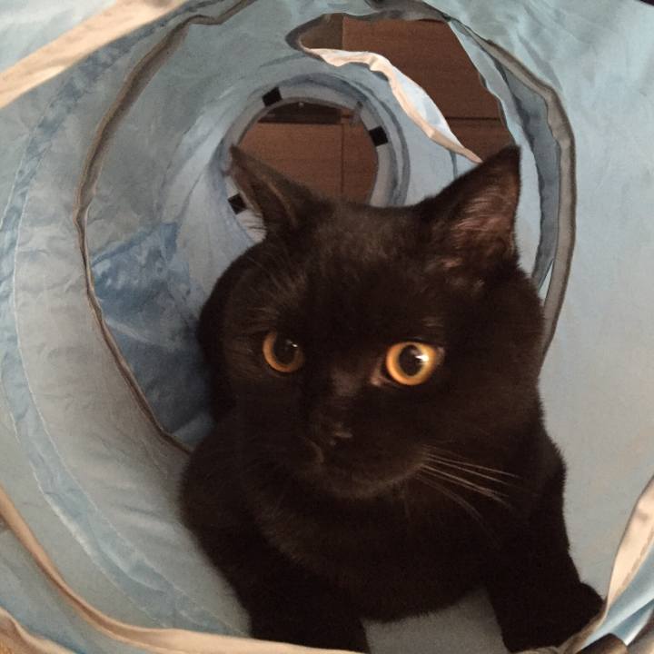 C146e436 9054 4c84 a3c0 03b0bc60a166