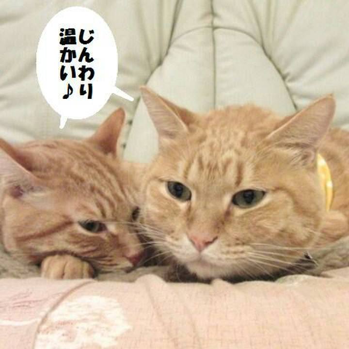 C14792fc 0cad 47b4 a415 da48c371445f