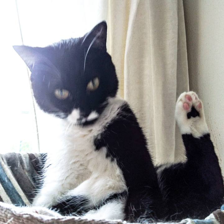 C1479f60 1da8 4134 a862 bebba2d45b1a