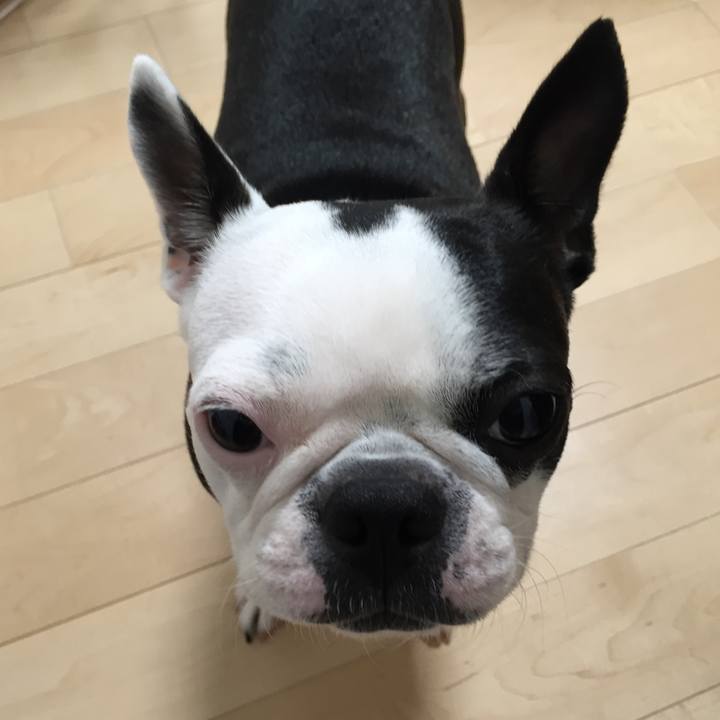 C1483009 b92f 436d a182 0cc1904e3ee8