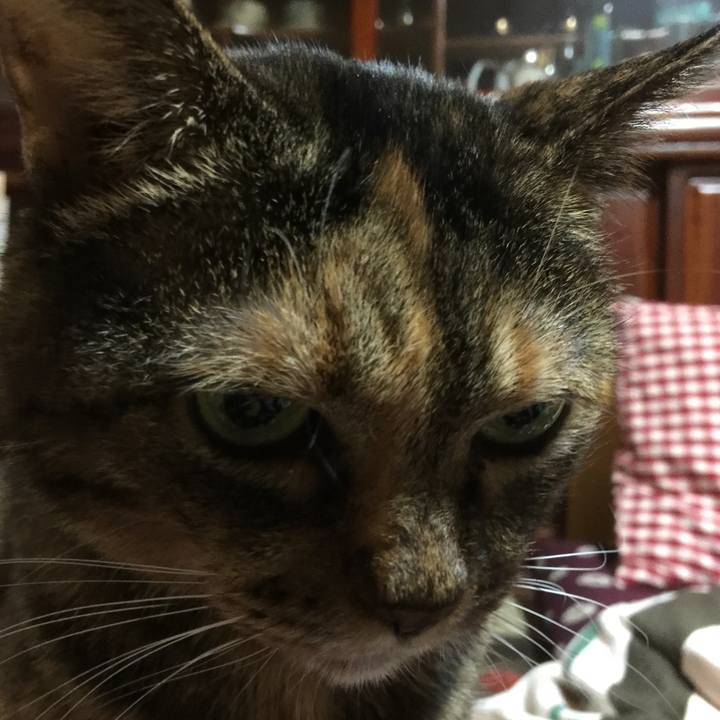 C148742a 52ff 4f45 b054 fa2a8c496811