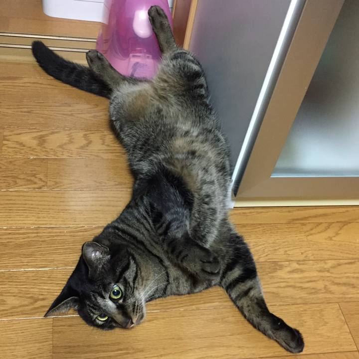 C1488952 964e 4a69 8ac3 d6b3fb274412