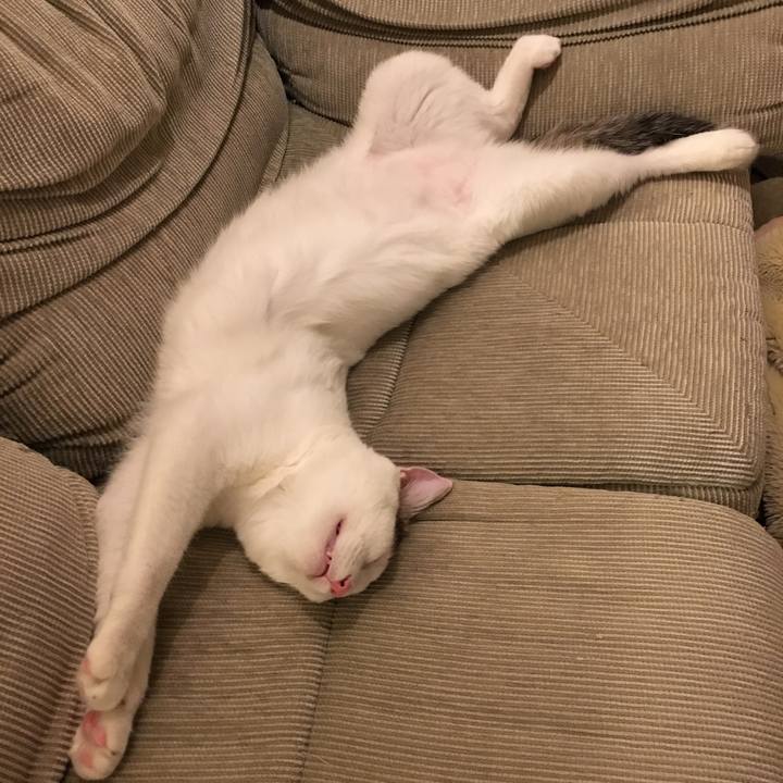 C14940ce ae63 448b a1ef fd579a3de420