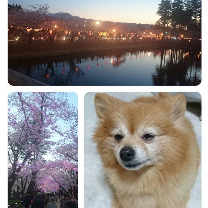 C149477d 73ce 4f9a 8e11 a5295a57346b