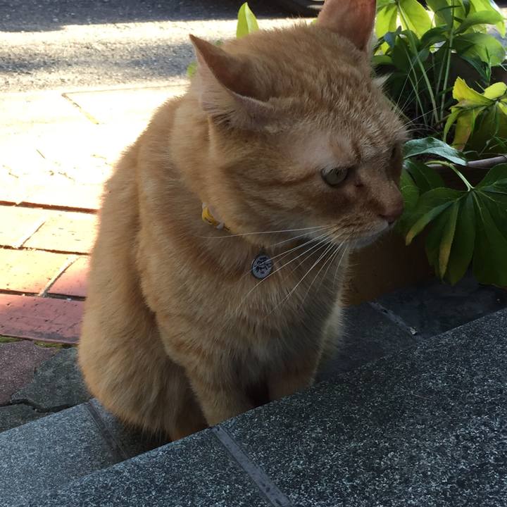 C14992c9 69d4 41cb 8b25 8b0d53e9fed1