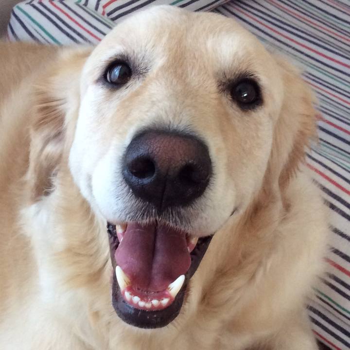 C149f7fa 6692 449b 86d6 5816f4170cc1